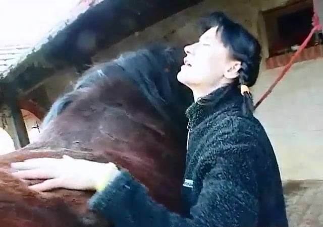 Skinny brunette zoophile gets banged by a stallion / Zoo Tube 1