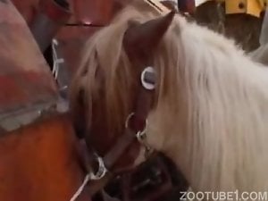 Dirty farm girl craves hardcore animal sex in barn