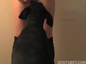Black doggy licks a pussy and fucks it from behind