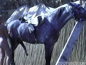 Blonde performs a good head for a horse and gets banged