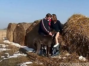 Redhead zoophile bangs with two men and a doggy