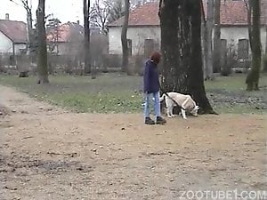 Playful trained doggy nicely pounds a sensual female