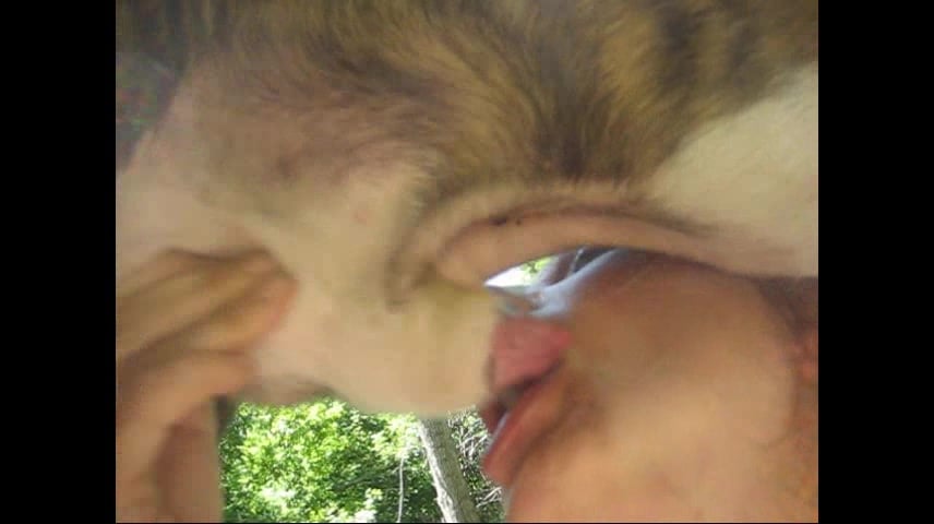 Woman Sucking Animal Penis - Closeup video of a zoophile woman sucking the animal' dick / Zoo ...