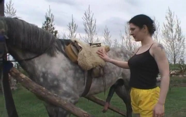 Latina whore blows and rides a horse's dick in beastiality ...