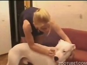 Blonde in stockings cheat on her hubby with a dog