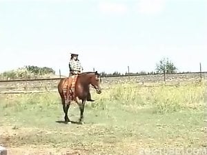 Farm babe blowjob and fuck horse