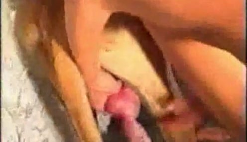 Watching how my zoophilic wife fucks with a doggy / Zoo Tube 1 image