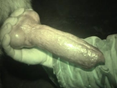 384px x 288px - This nasty beast has a truly incredibly huge cock / Zoo Tube 1