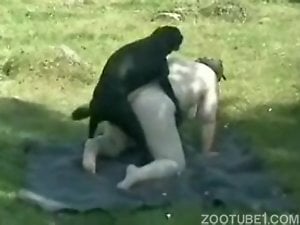 BBW zoophile have outdoor zoo sex with a black dog