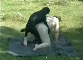 Black Zoo Sex