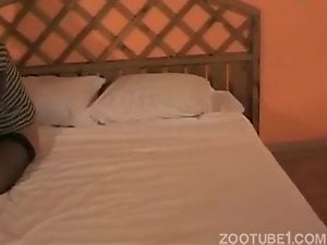 Angry doggy pleases a long-legged zoofil slut in the bed