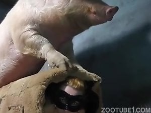 Zoo Woman Pig Sex Drawings - Creampie Porn Videos / Most Viewed / Zoo Tube 1