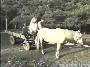 Skirt humped by man and horse in open air