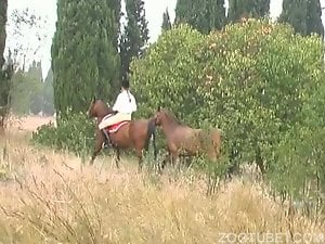 Horse porn in Omdurman