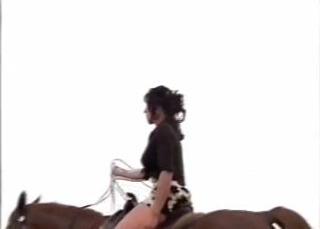 Chicks prefer zoophile sex with big-cocked horses