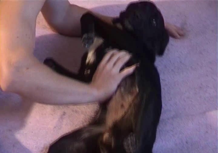 Man licks and fingers vagina of his obedient dog / Zoo Tube 1