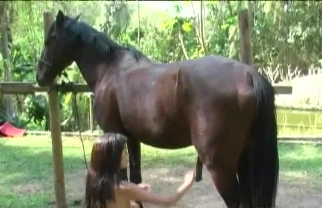 Girls And Horse Fockeng - Horny girl gets high on anal sex with horse / Zoo Tube 1