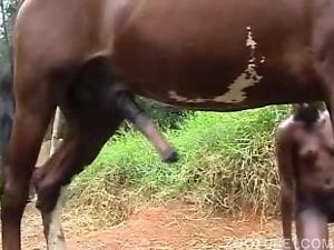 Chick with black skin fucked by horse in open air