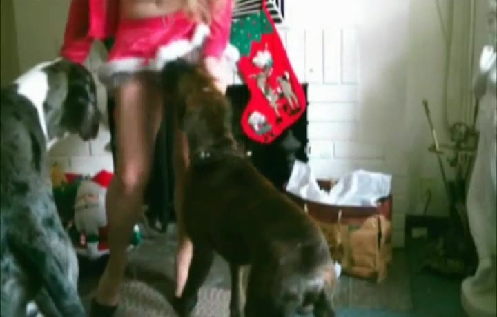 Bad Masti Dog - Dirty woman celebrates Christmas along with big dog / Zoo Tube 1