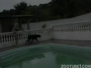 Rottweiler fucks blonde in doggystyle by swimming pool