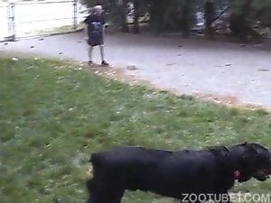 Two zoophiles and Rottweiler have amazing sex together