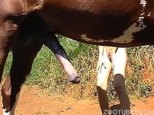 Slender redhead is able to plug pussy with stallion's cock