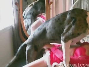 Dog Fuck Girl - Teen Porn Videos / Page 3 / Zoo Tube 1