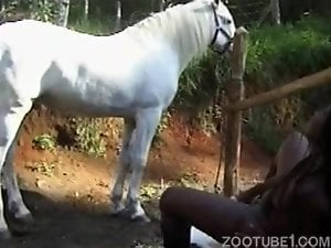 Ebony zoophile sucks a stallion just to get some jizz