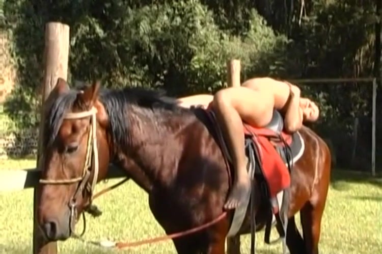 Slender jockey fucks with a brown stallion at the farm / Zoo Tube 1