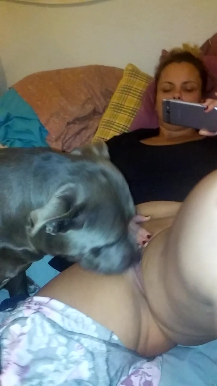 Cachorro lambe buceta