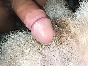 Fucking bitch tight pussy and cum inside