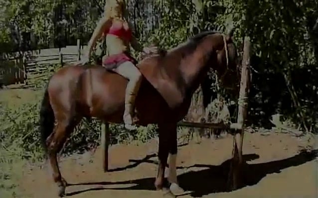 638px x 398px - Horse Porno Cavalo Comendo Uma Loira Ao Ar Livre - Zoofilia