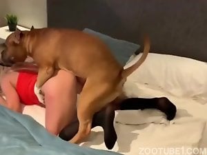 Petite blonde getting fucked by brown dog