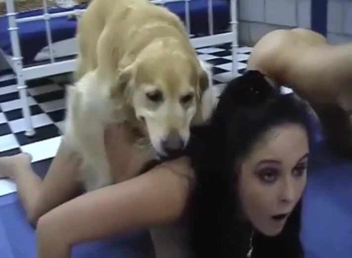 Dog Girl Xxxsix - Dog fuck XXXSEX