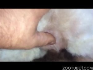 Fucking dog tight pussy and cum inside