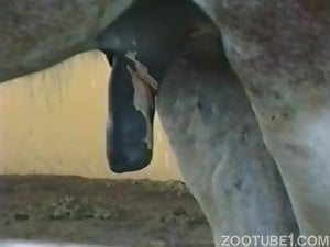 Horse cock is gonna get bigger and bigger