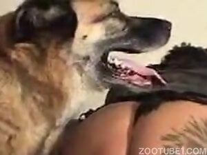 Big dog and girl porn / Zoo Tube 1