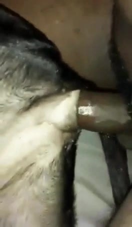Black dick cums in dog pussy