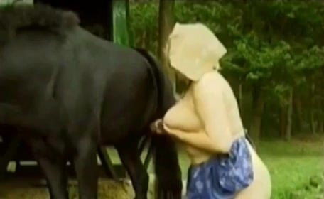 Horse Piss Porn - Horse pissing on me / Zoo Tube 1