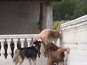 lesbians loving dog cum