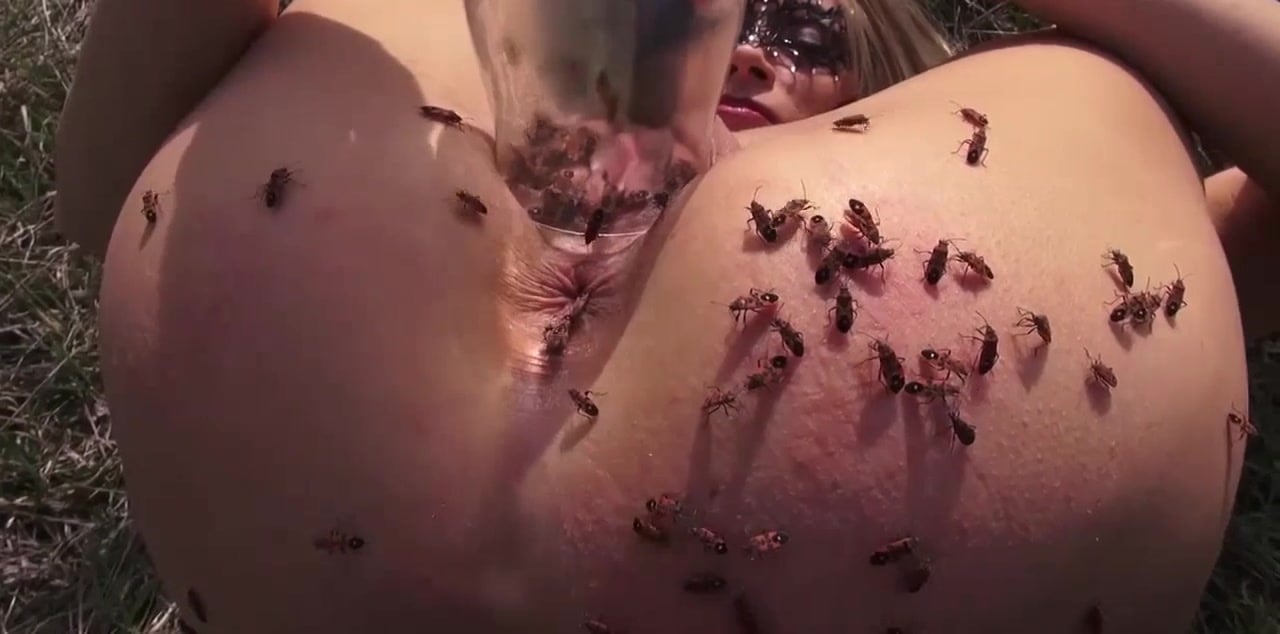 Home Sex Videos With Insects - blonde girl genki sex with insect bugs zoo / Zoo Tube 1