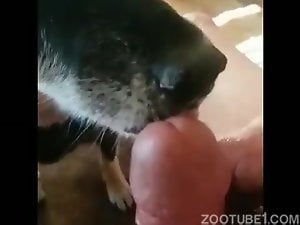 Slow motion dog licking Cumming on her face