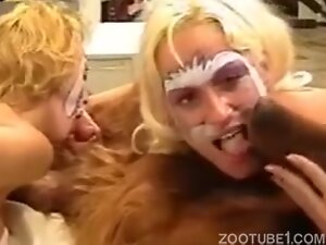 Denise frazier videos