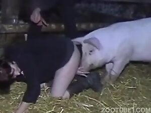 pig fuck girl 20