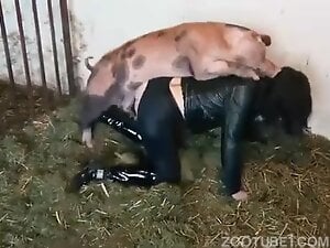 pig fuck girl 34