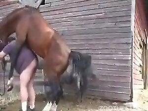 horse fuck old lady outdoors