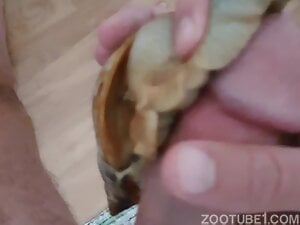 Jerking off with a snail