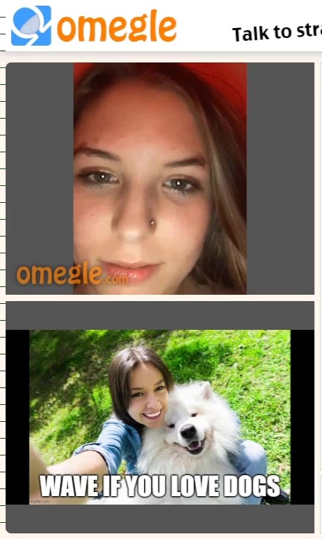 EXCITED TEEN ENJOY BESTIALITY ON OMEGLE 