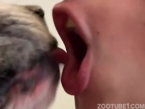 Boxer Licking my lips, tongue, and inside my mouth