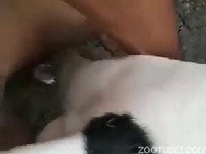 Pinoy cute boy fuck dog